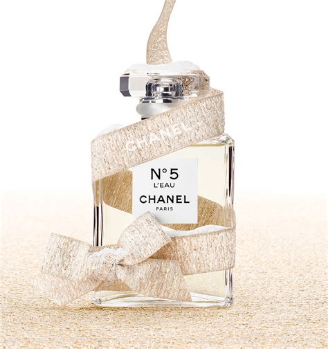 chanel no women eau spray|chanel no 5 3.4 oz.